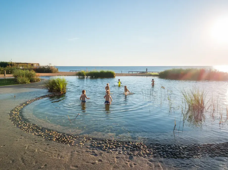  beach entry natural pool with gradual pebble