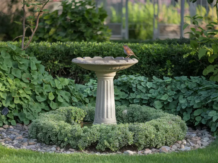  classic concrete pedestal bird bath