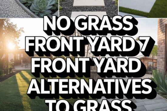 7 Lush Front Yard Alternatives to Grass